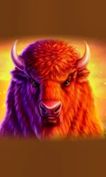 Buffalo 50